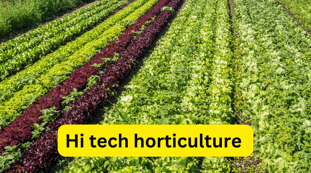 Hi tech horticulture