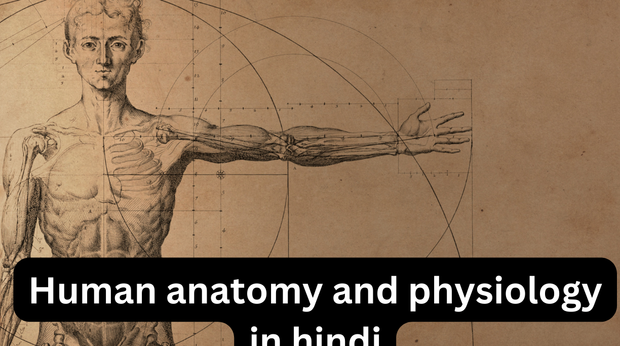 Human anatomy and physiology in hindi