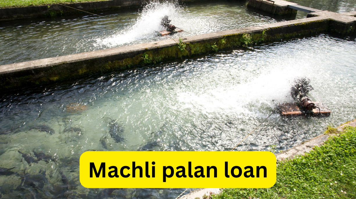 Machli palan loan