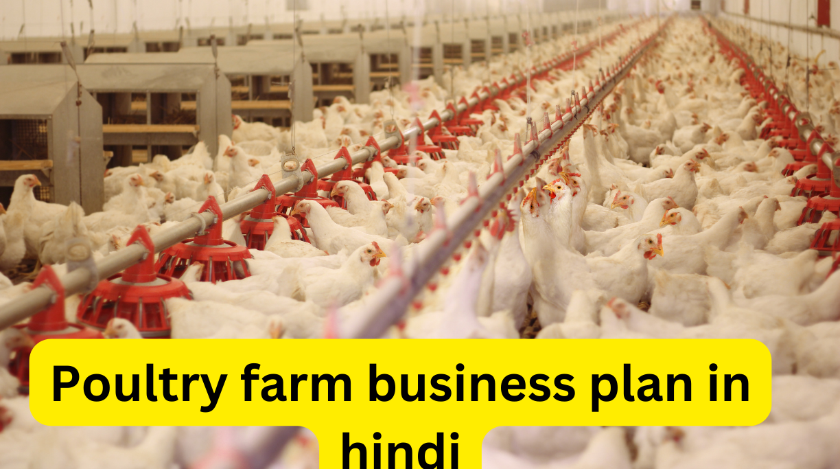 Poultry farm business plan in hindi