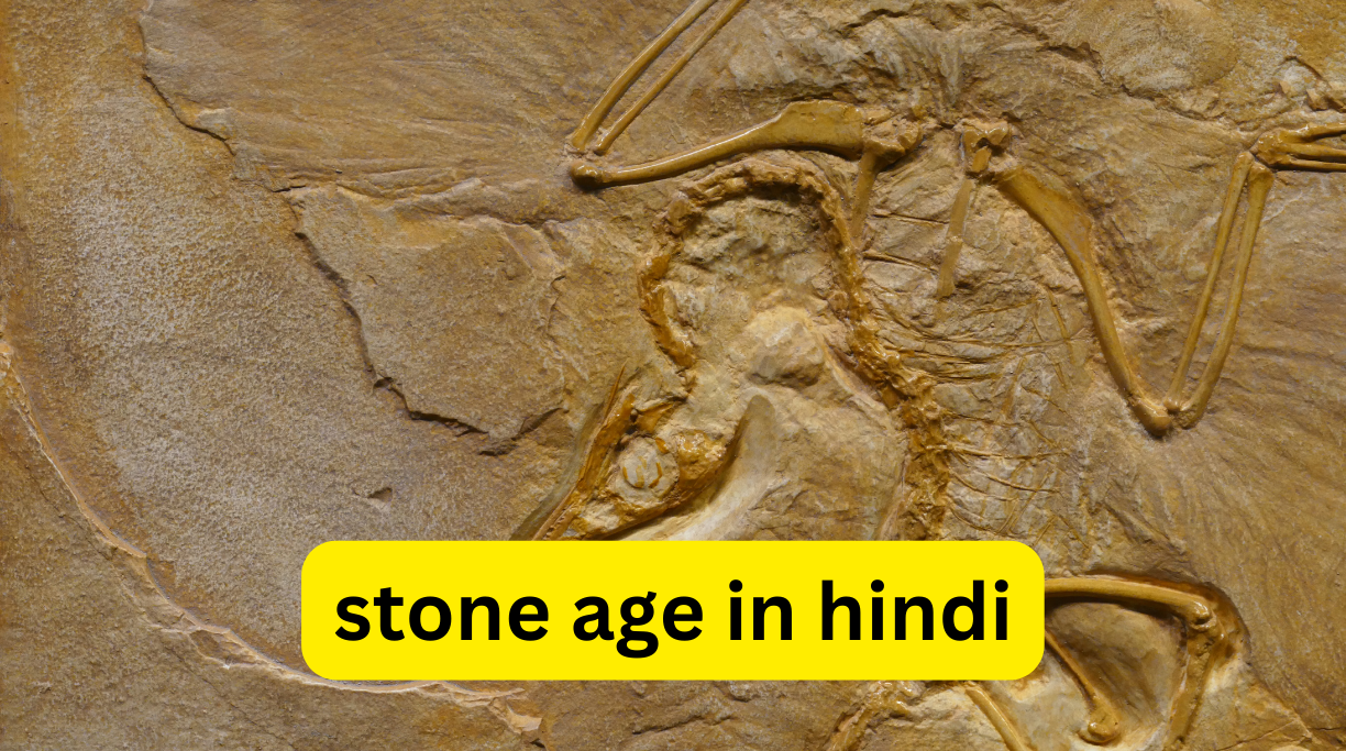 stone age in hindi