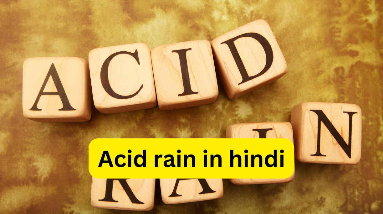 Acid rain in hindi