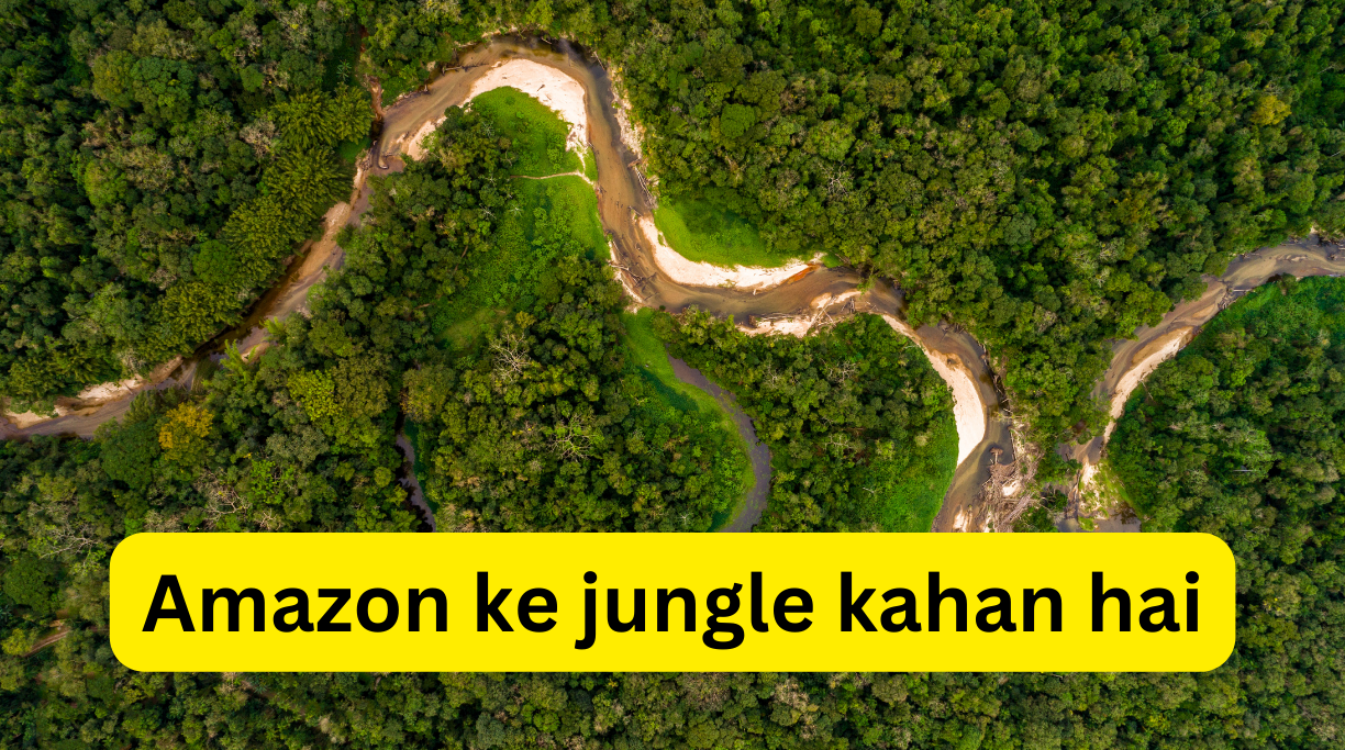 Amazon ke jungle kahan hai