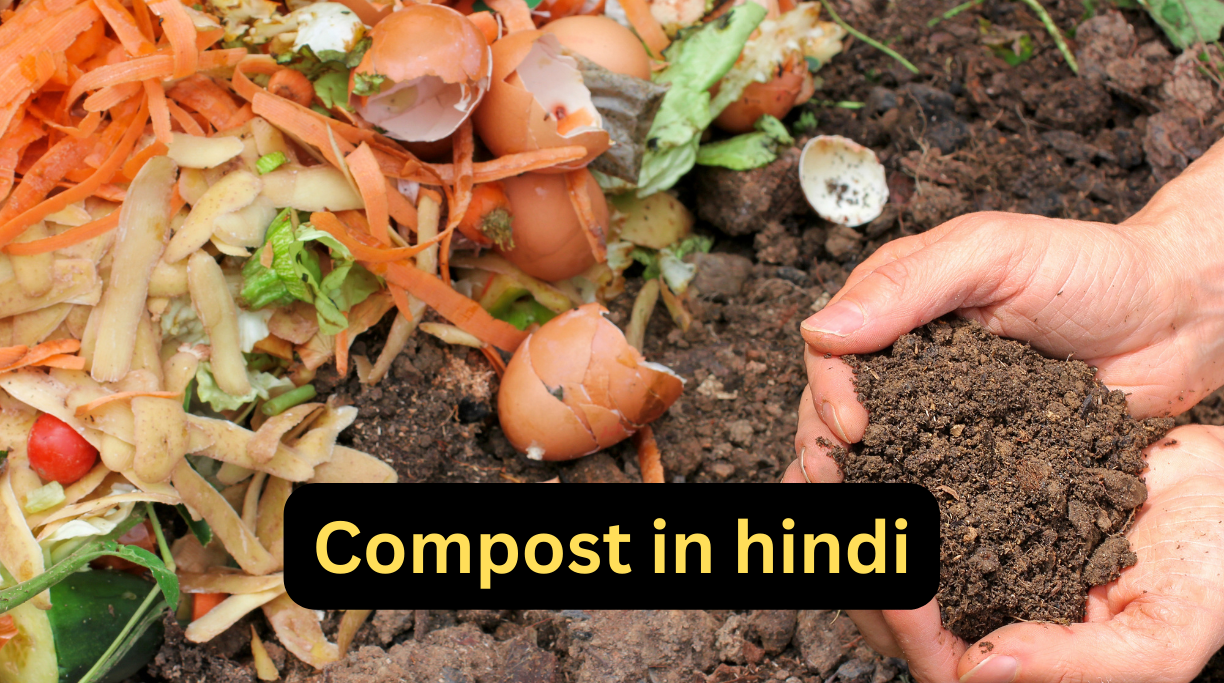 Compost in hindi