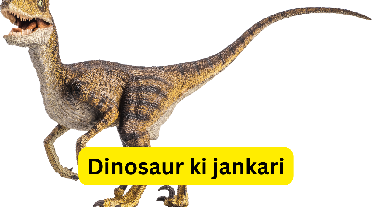 Dinosaur ki jankari