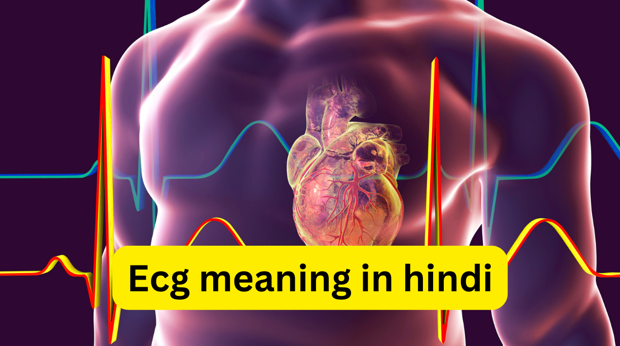 Ecg meaning in hindi