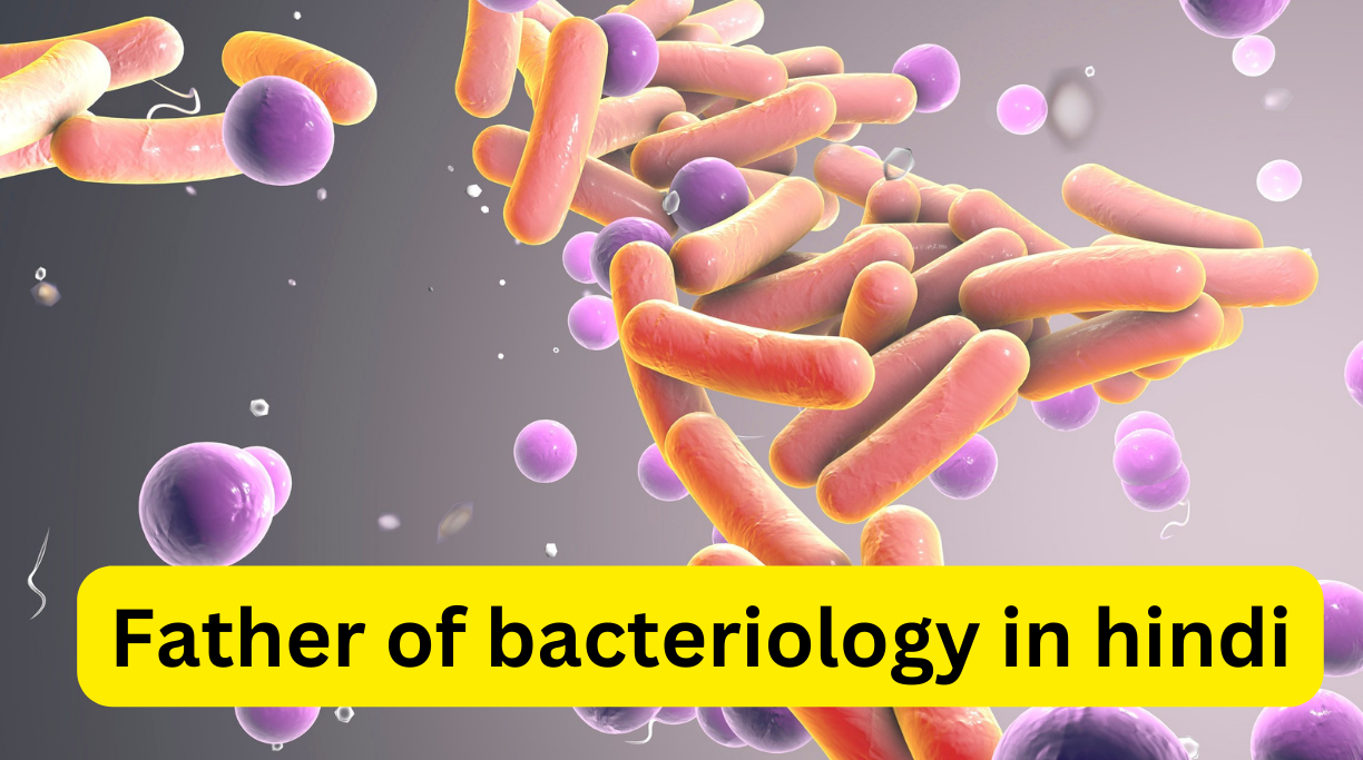 Father of bacteriology in hindi