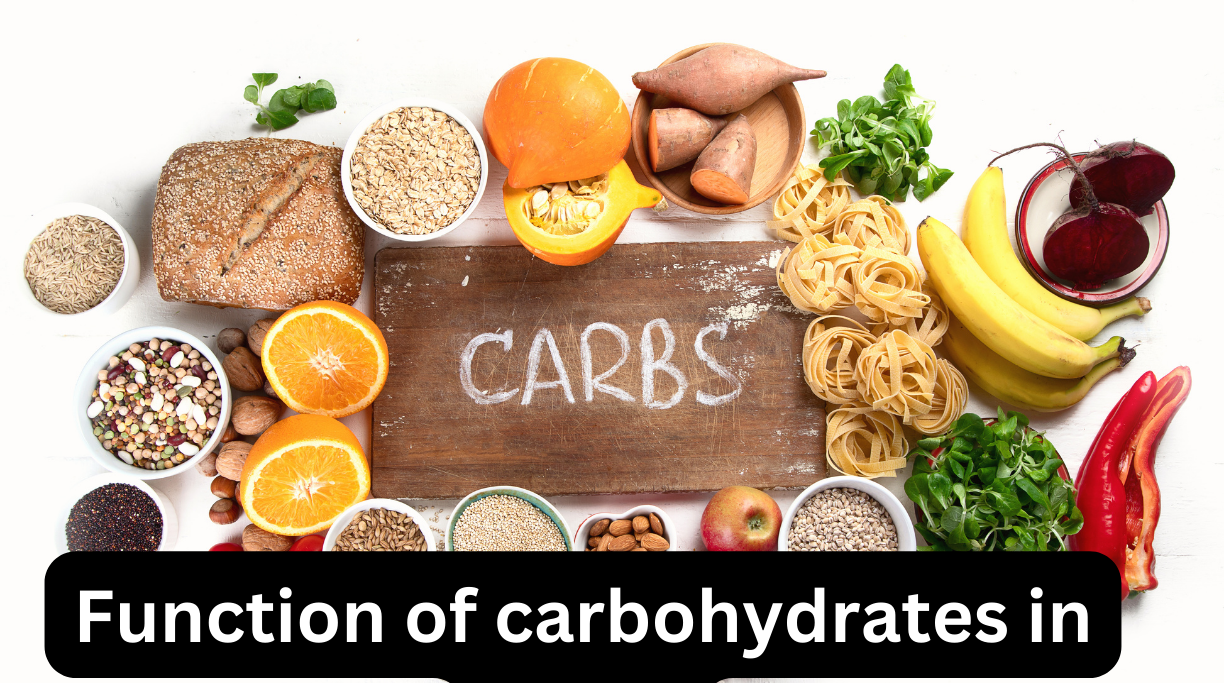 Function of carbohydrates in hindi