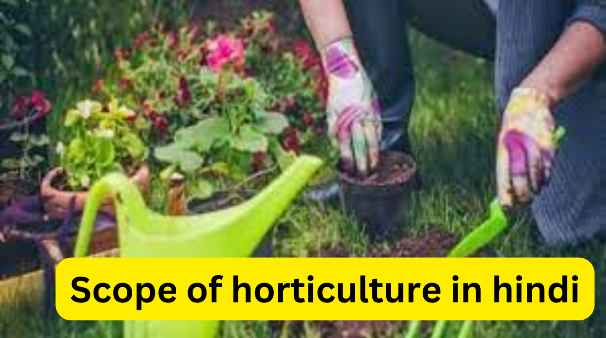 Scope of horticulture in hindi