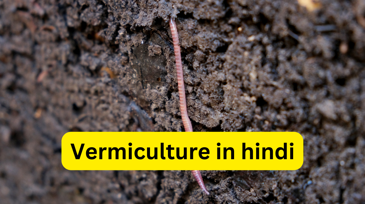 Vermiculture in hindi