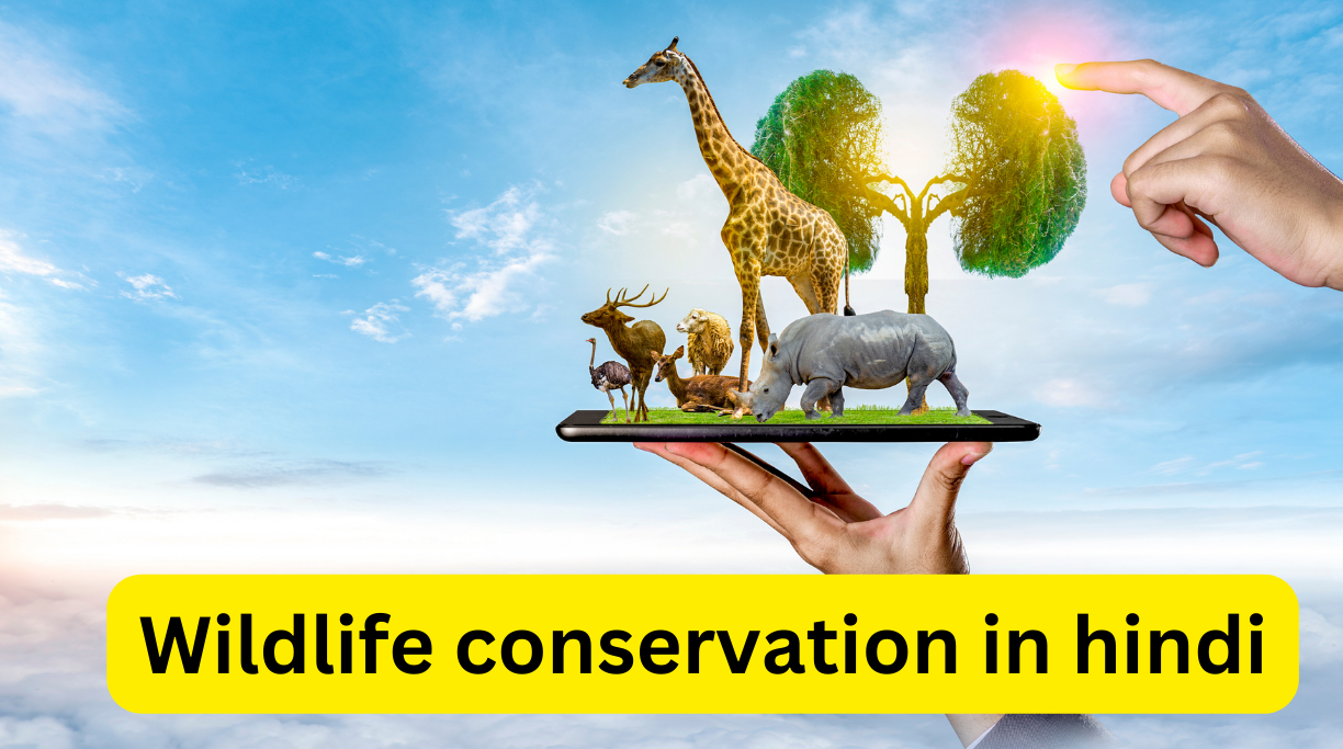 Wildlife conservation in hindi
